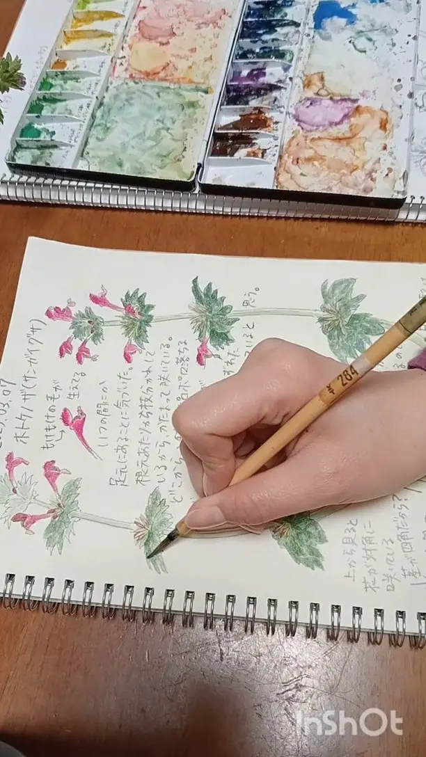 新たな試みとして動画を撮ってみました。色塗り総時間は1時間8分でした。#水彩 #illustration